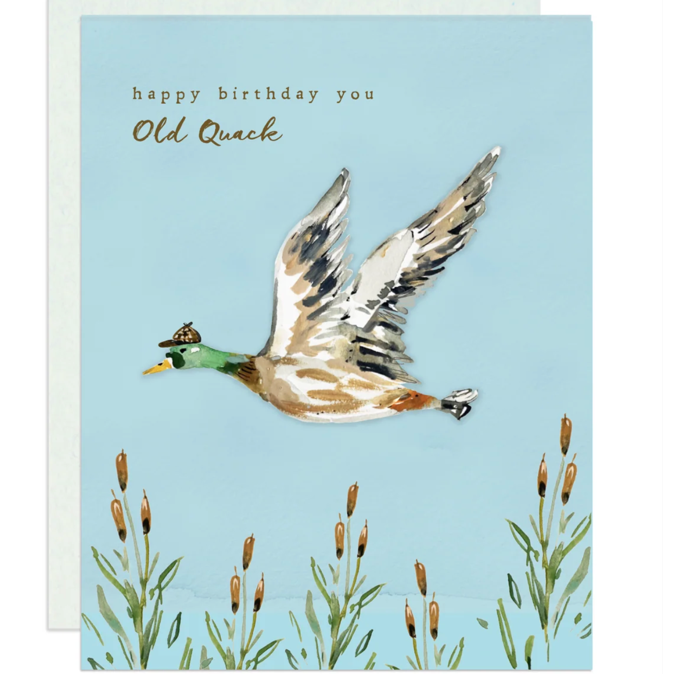 Old Quack Birthday Card