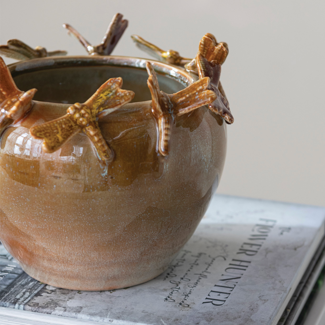 Dragonfly Planter