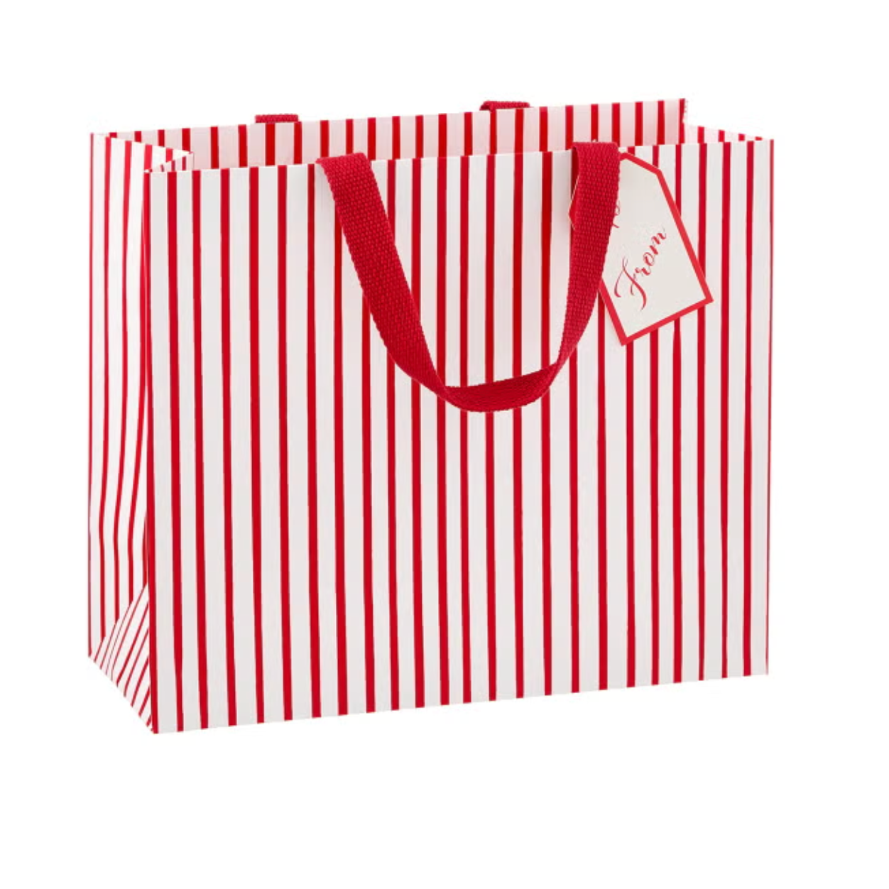Stripes For Days Red/ White Gift Bag