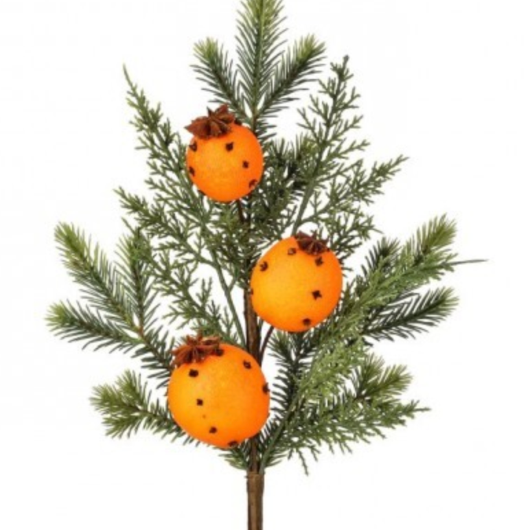 18" Evergreen w/ Orange Clove