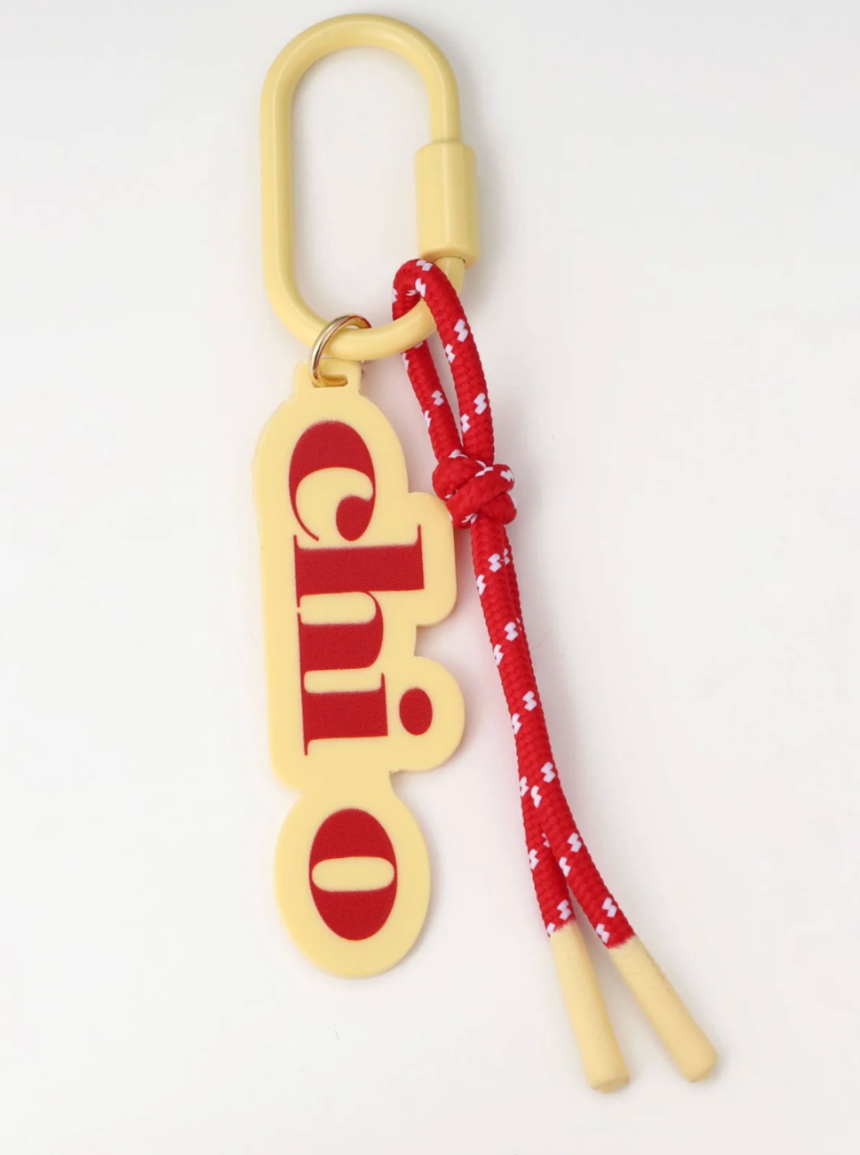 Sorority Key/Bag Charm