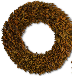 orange preserved Boxwood Wreaths