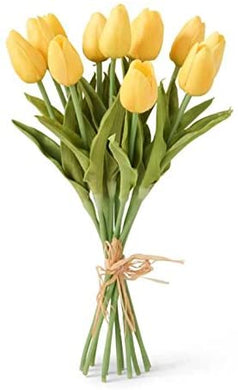 Yellow Mini Tulip Bundle